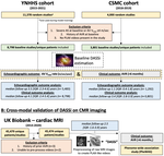 A Multimodal Video-Based AI Biomarker for Aortic Stenosis Development and Progression